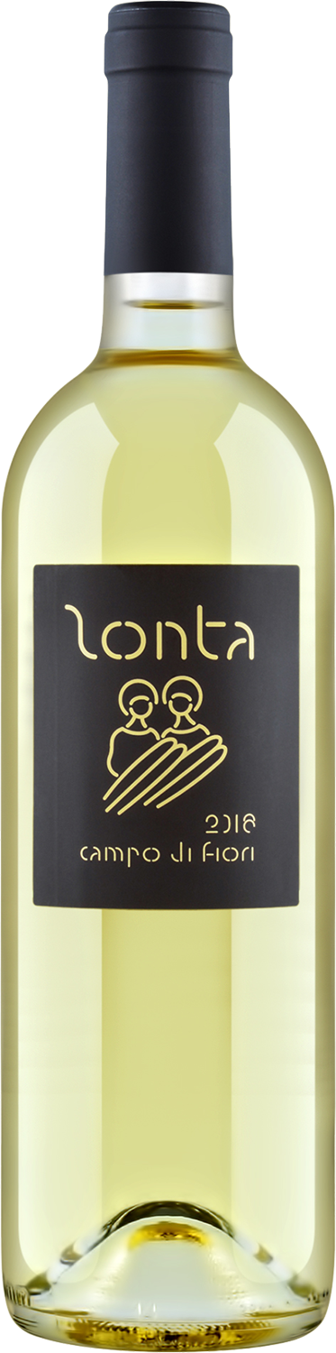 Дзонта Кампо ди Фьори Венето IGT Виньето Дуэ Санти 0.75 л