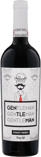 Gentleman Oltrepo Pavese DOC Ferro 13, 0.75 л в Рязани